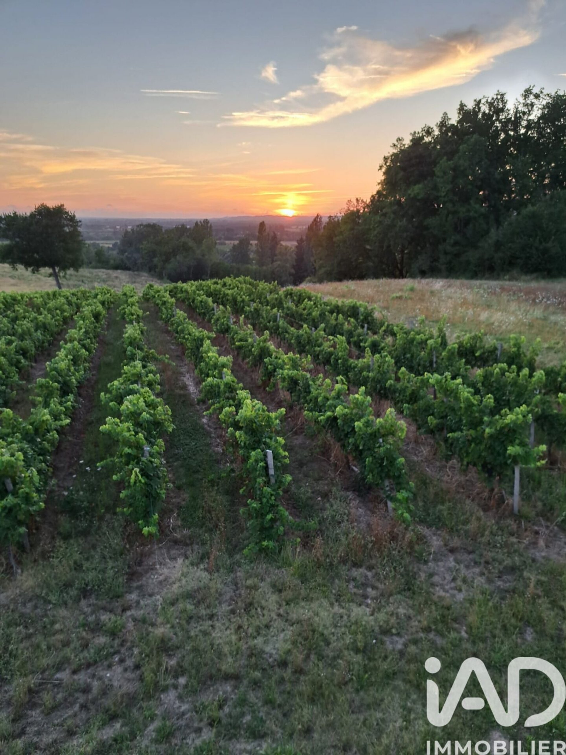 Maison à vendre, 326m², Pessac-sur-Dordogne