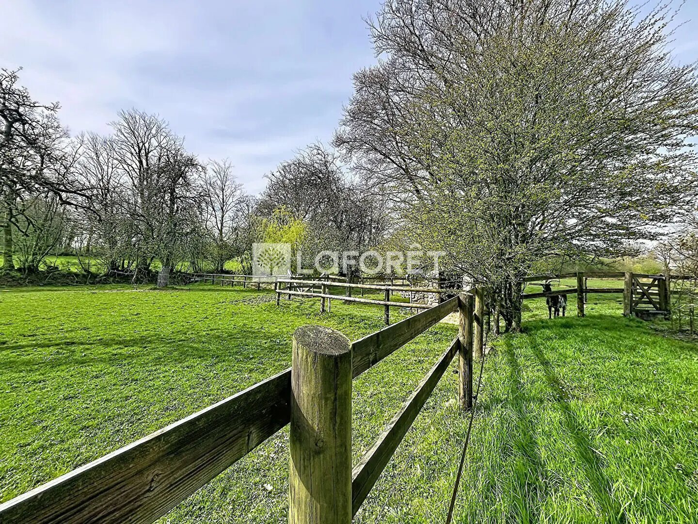 Maison à vendre, 176m², Lonlay-l'Abbaye
