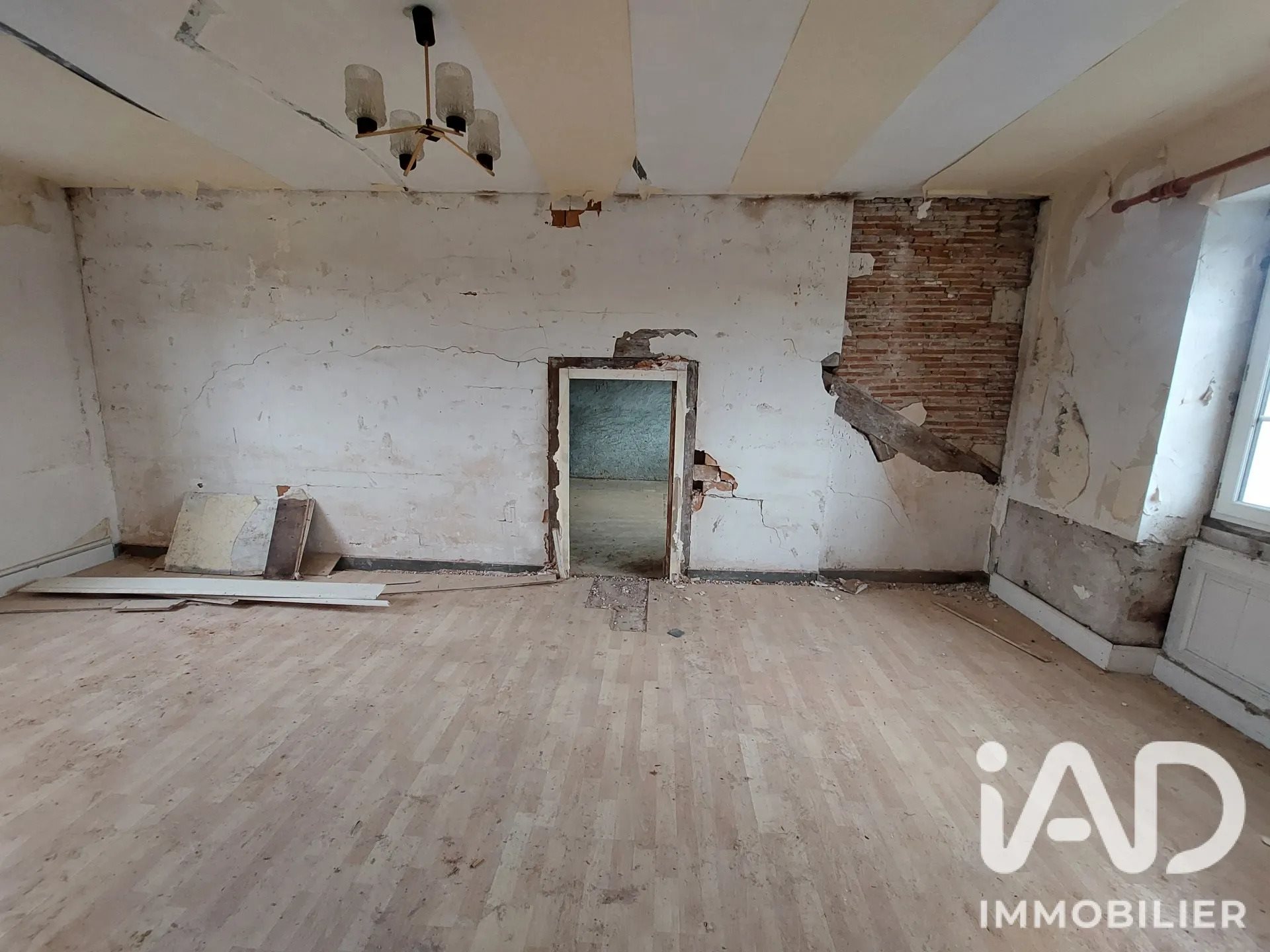 Maison à vendre, 325m², Les Sorinières