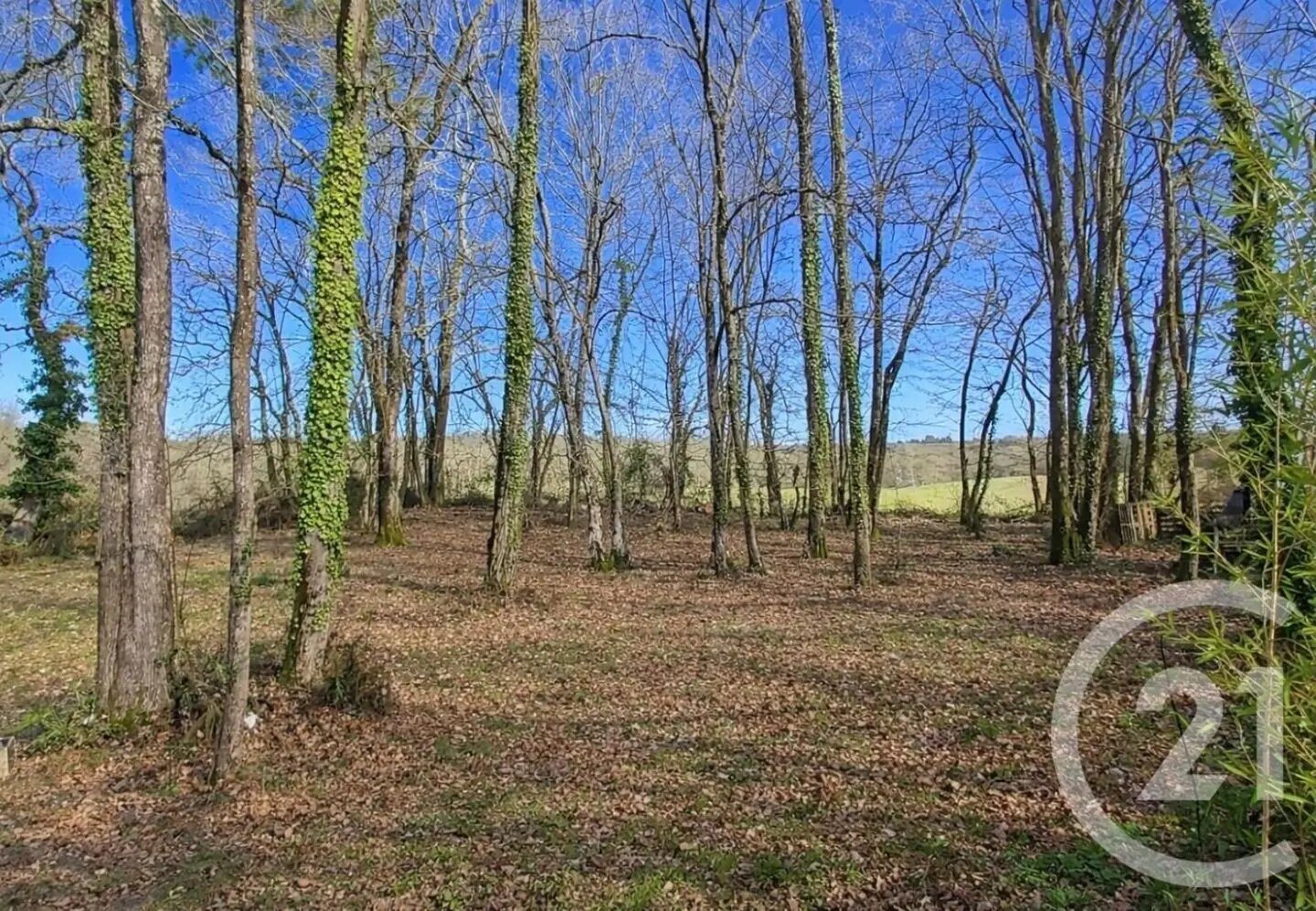 Maison à vendre, 107m², Beychac-et-Caillau