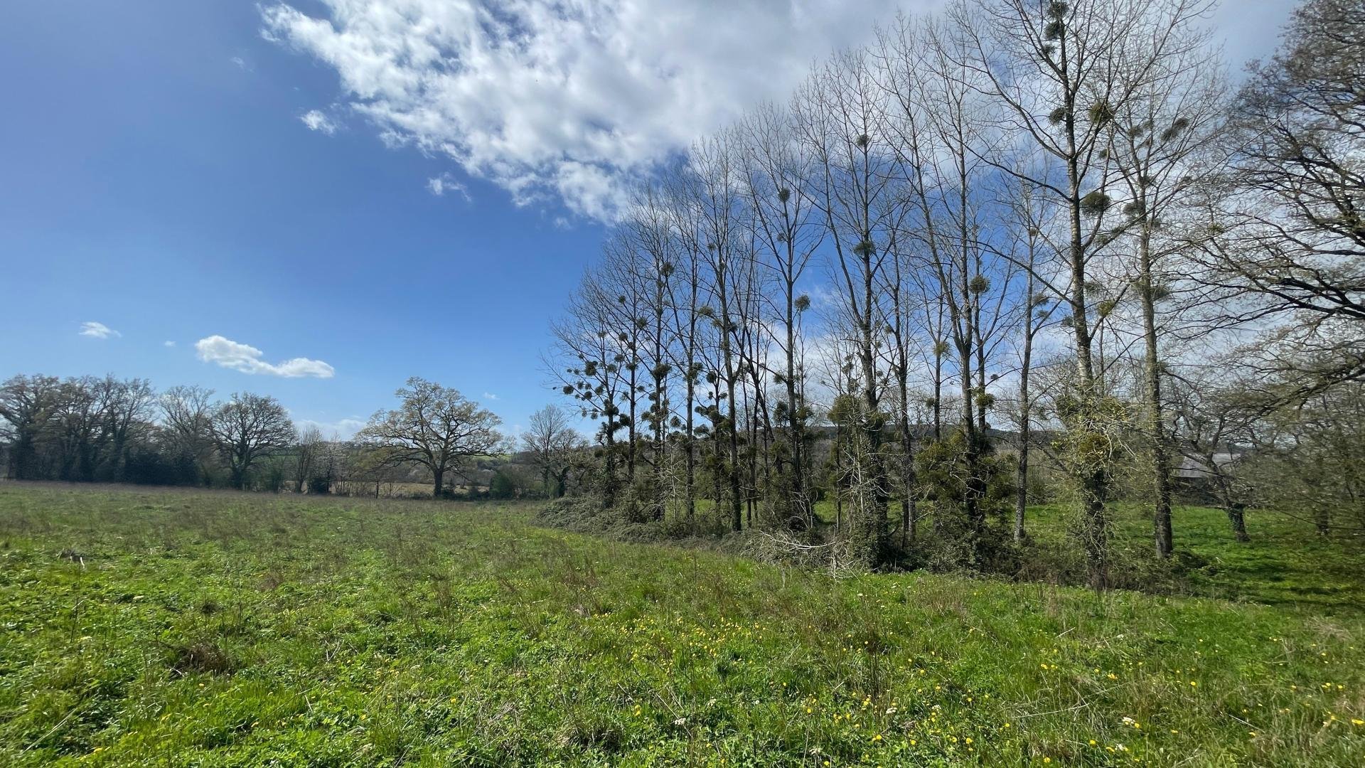 Maison à vendre, 82m², La Chapelle-au-Riboul