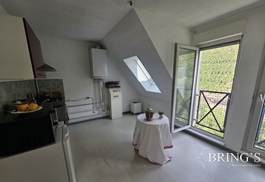 Appartement à vendre, 65m², Thann