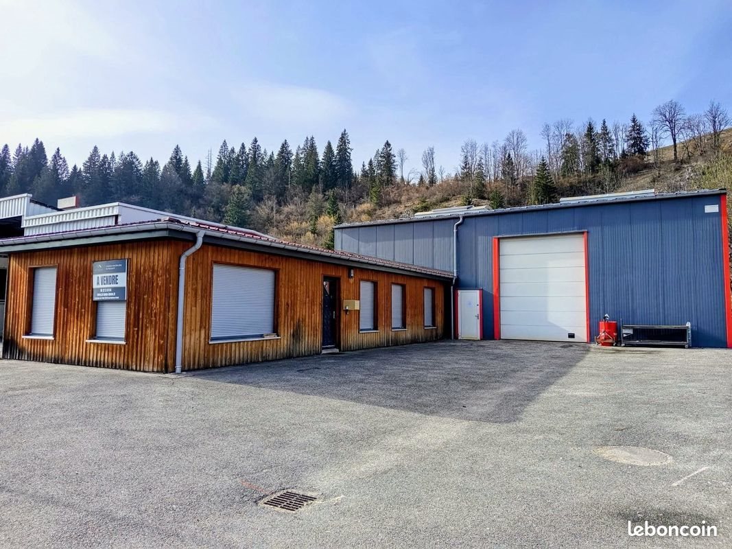 Maison à vendre, 300m², La Cluse-et-Mijoux