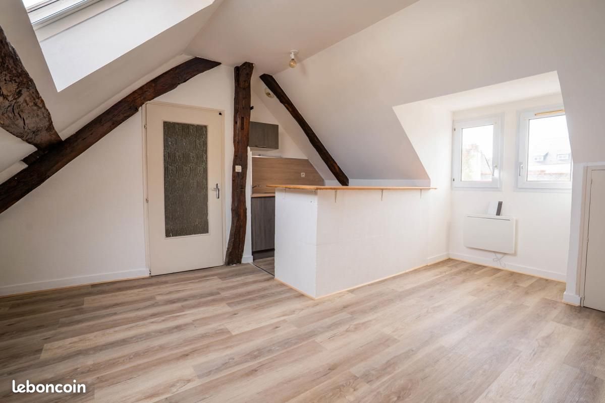 Appartement à louer, 49m², Angers