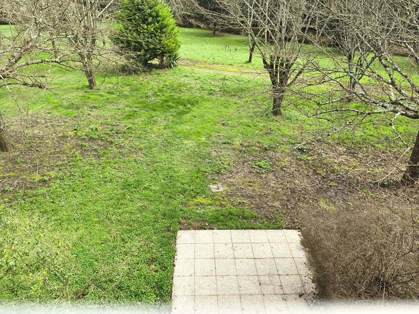 Maison à louer, 61m², Cognac