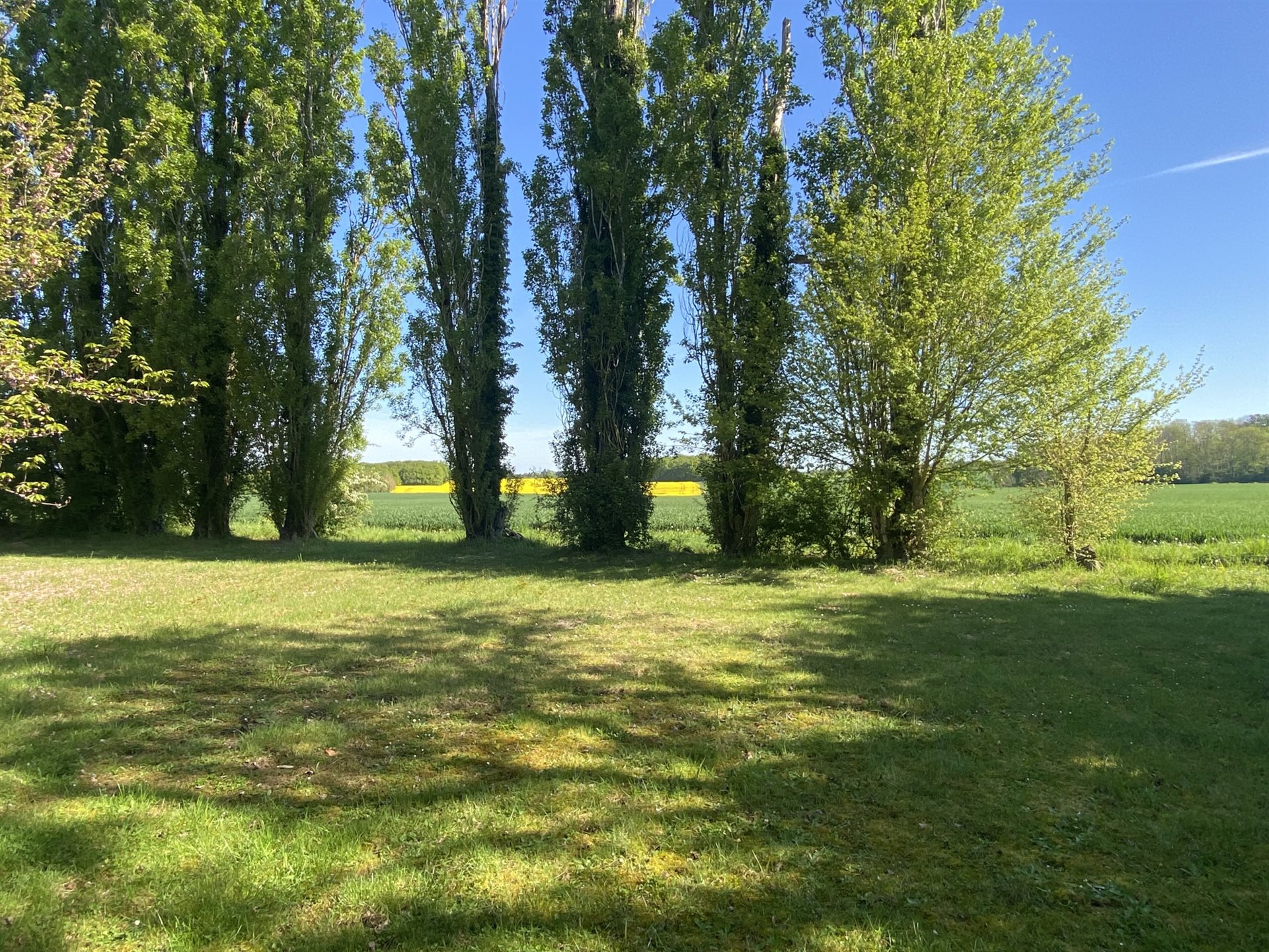 Maison à vendre, 280m², Saint-Hilaire-les-Andrésis