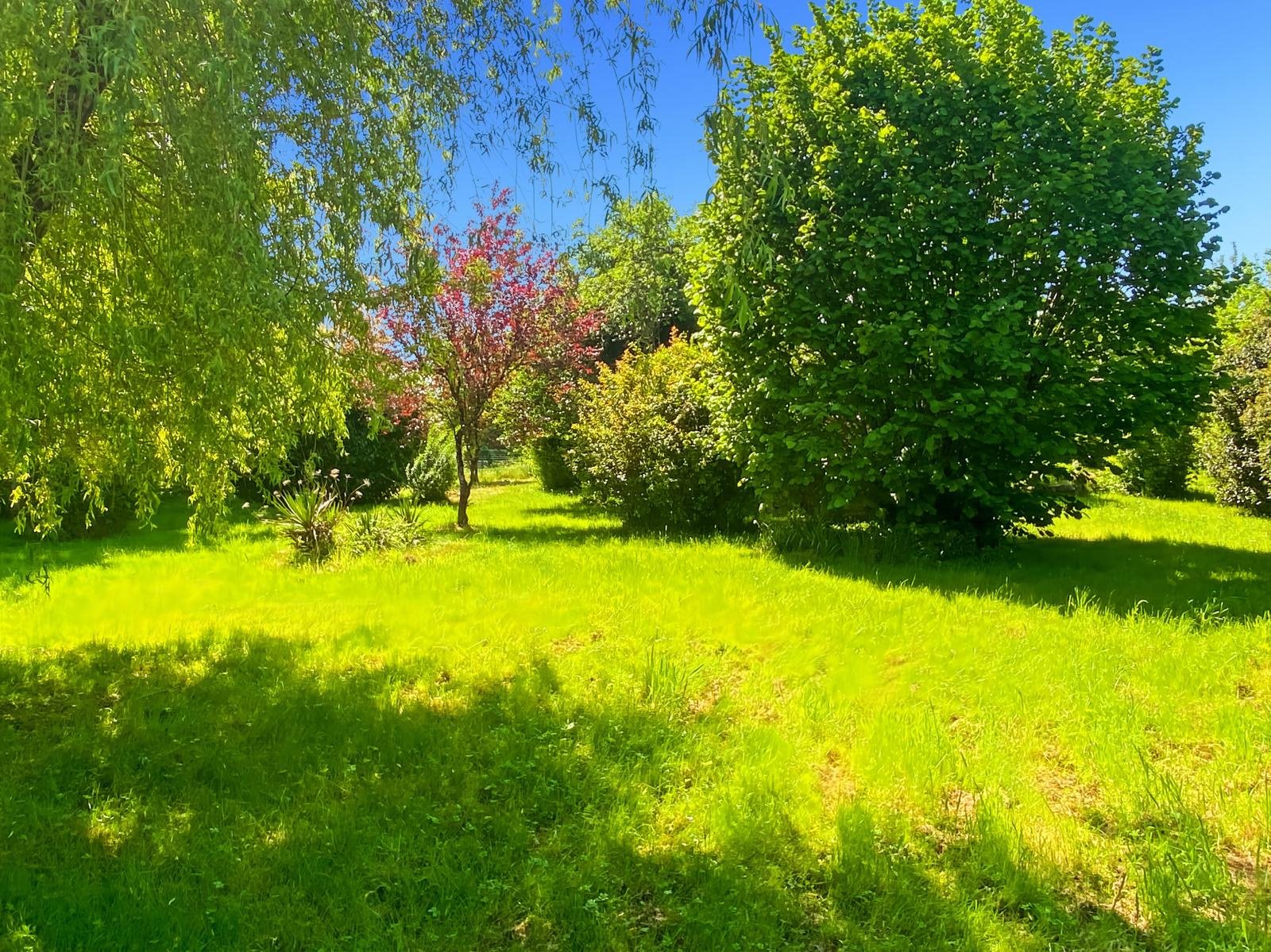 Maison à vendre, 196m², Courtenay