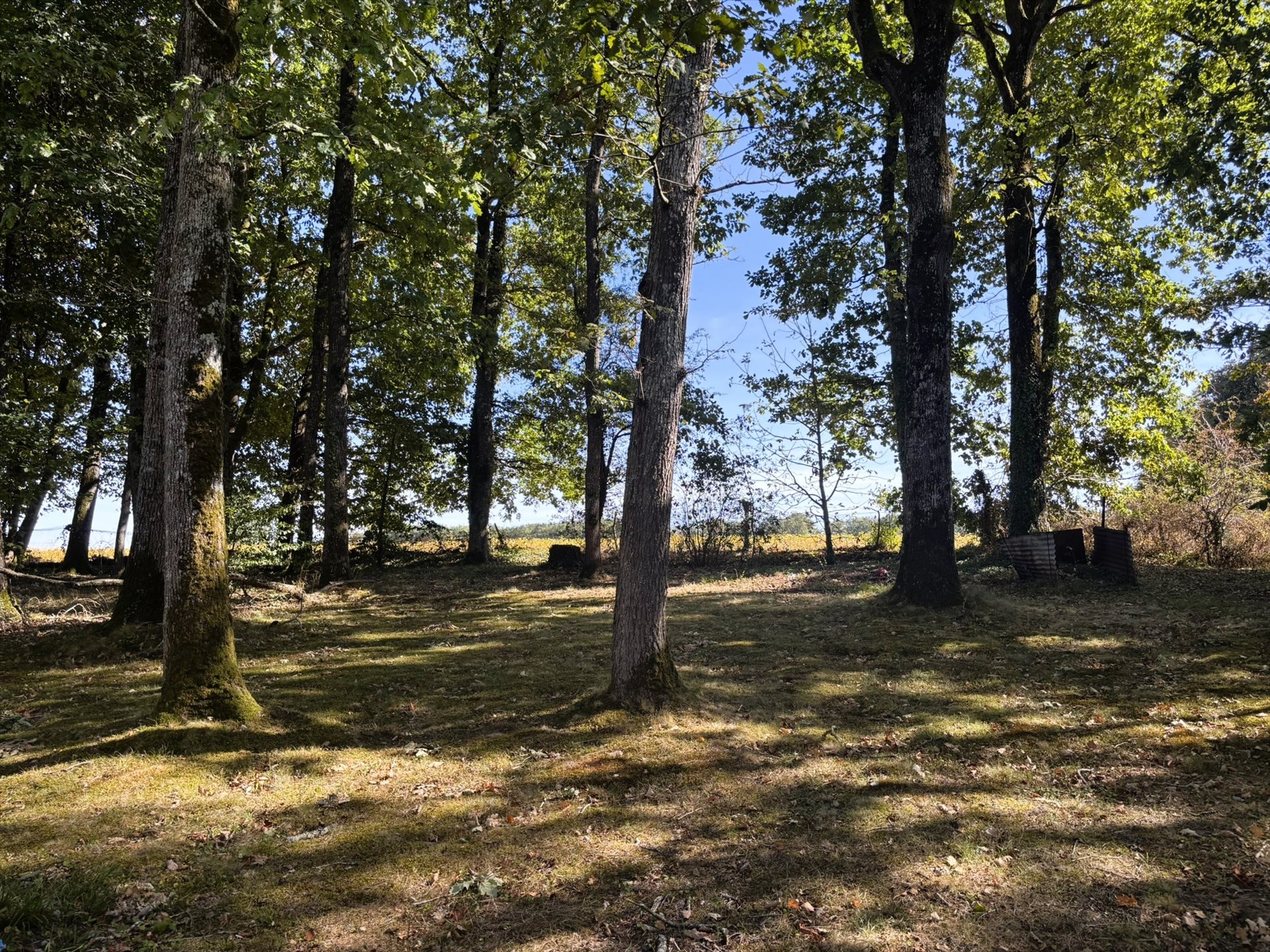 Maison à vendre, 80m², Saint-Hilaire-les-Andrésis