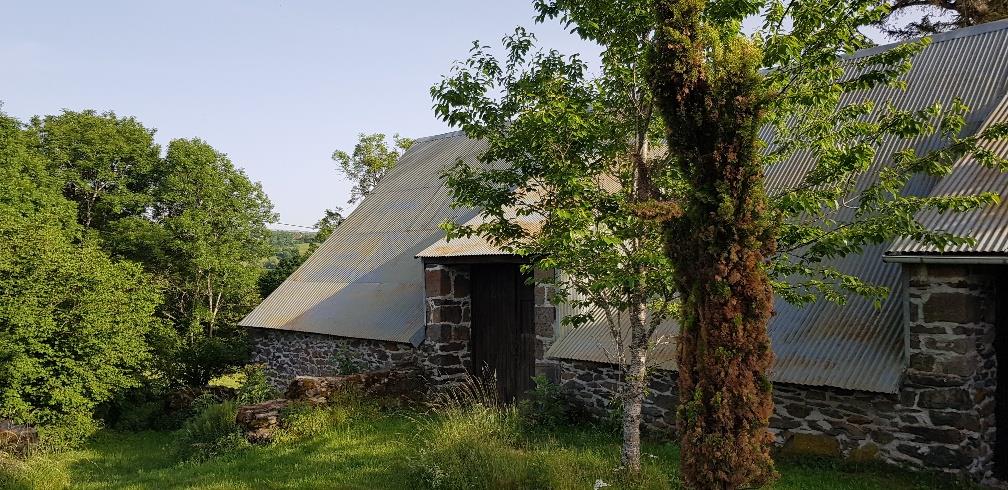 Maison à vendre, 300m², Trizac