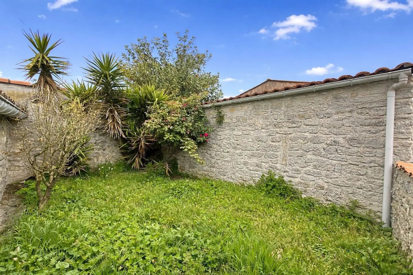 Maison à vendre, 125m², Saujon