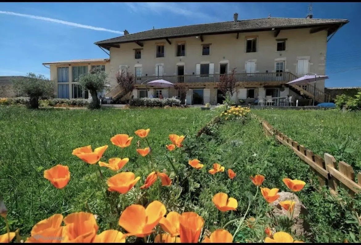 Maison à vendre, 577m², La Chapelle-de-Guinchay
