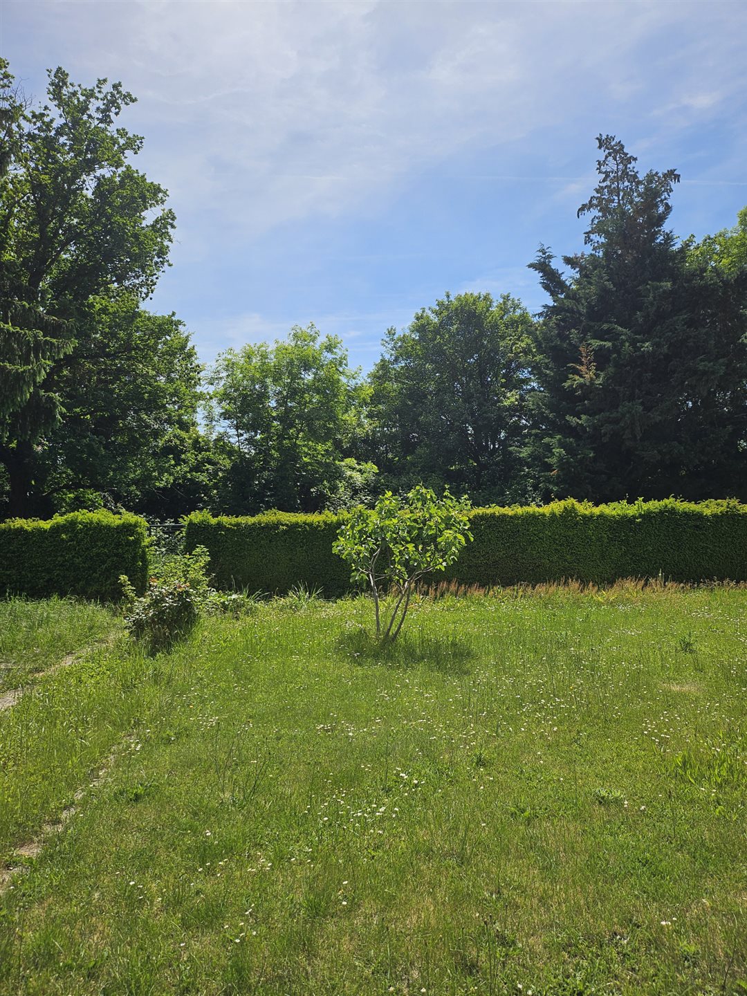Maison à vendre, 140m², Lutterbach