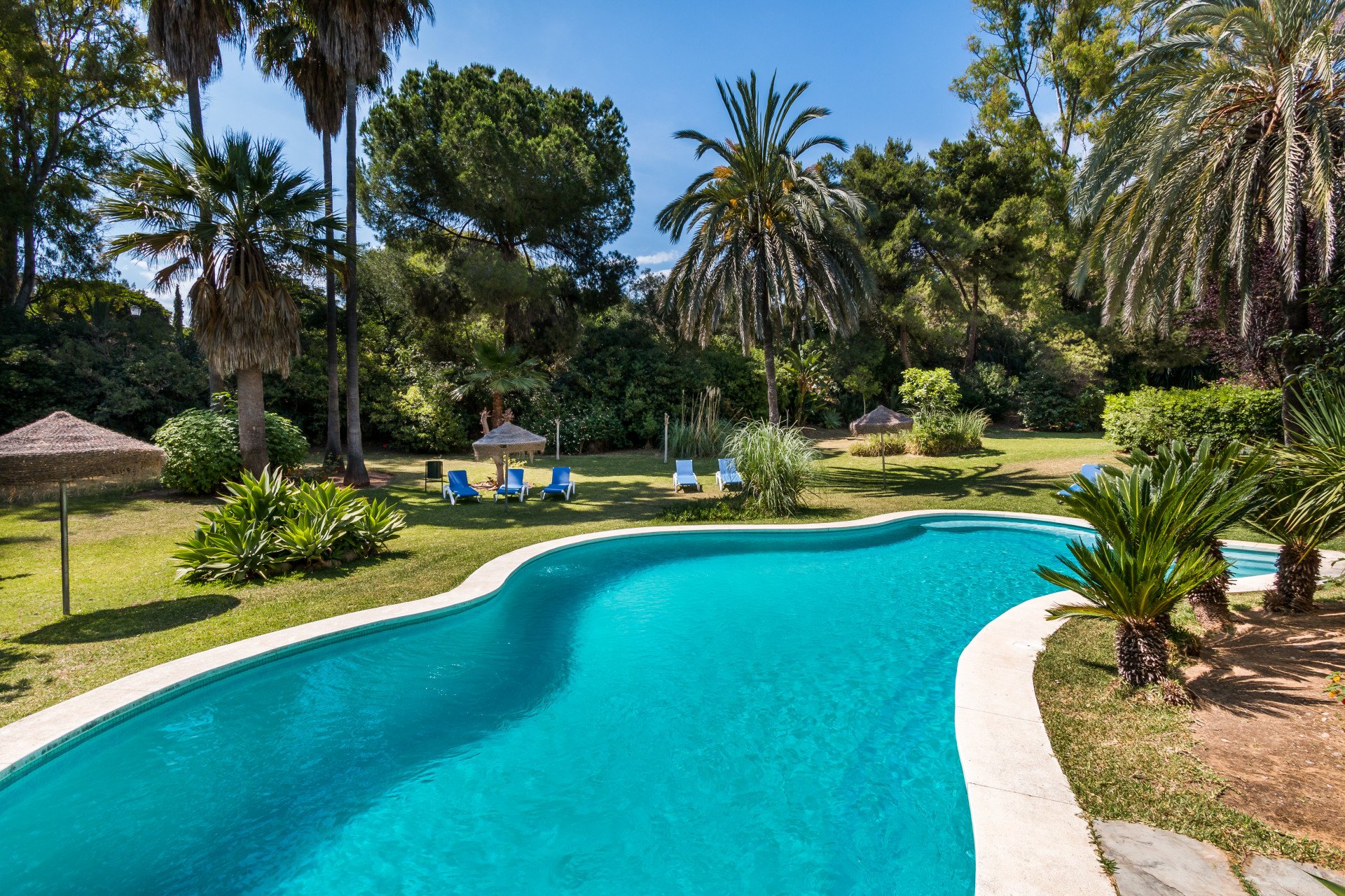Marbella (Málaga) photo 2