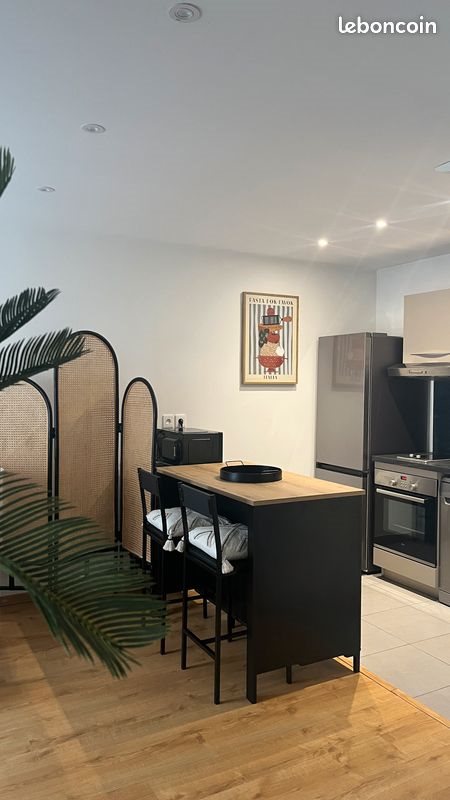 Appartement à louer, 46m², Angers
