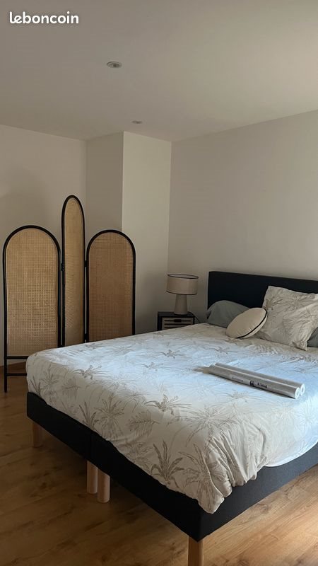 Appartement à louer, 46m², Angers