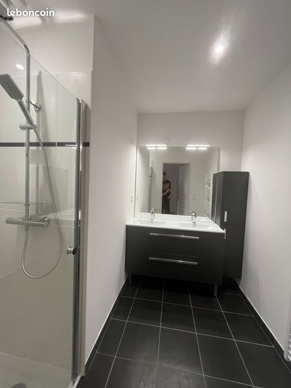 Appartement à louer, 46m², Angers