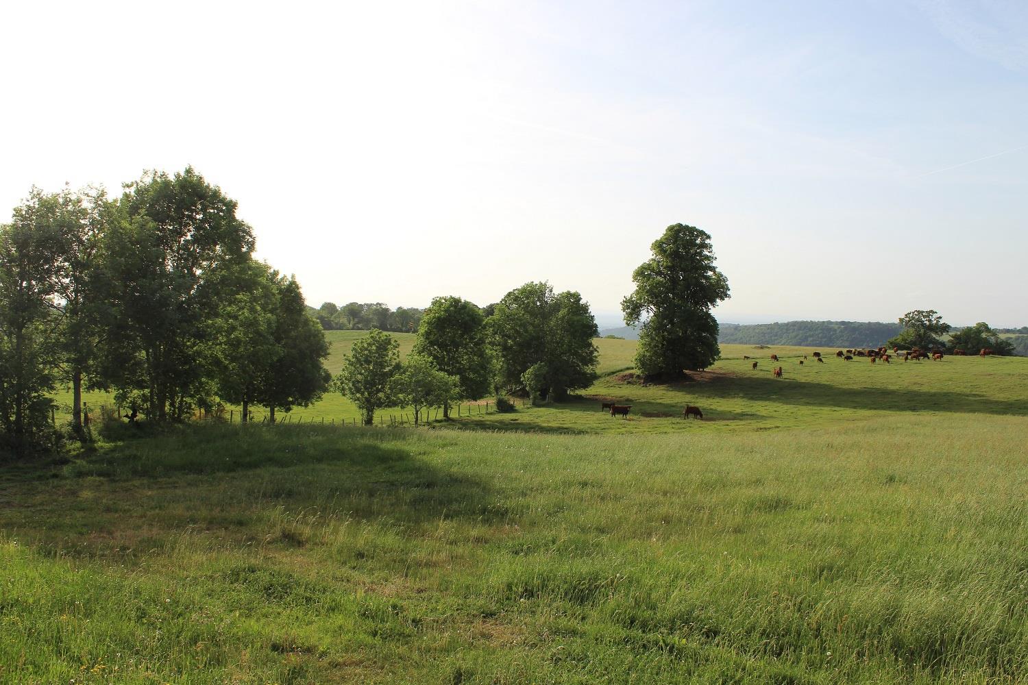 Maison à vendre, 400m², Anglards-de-Salers