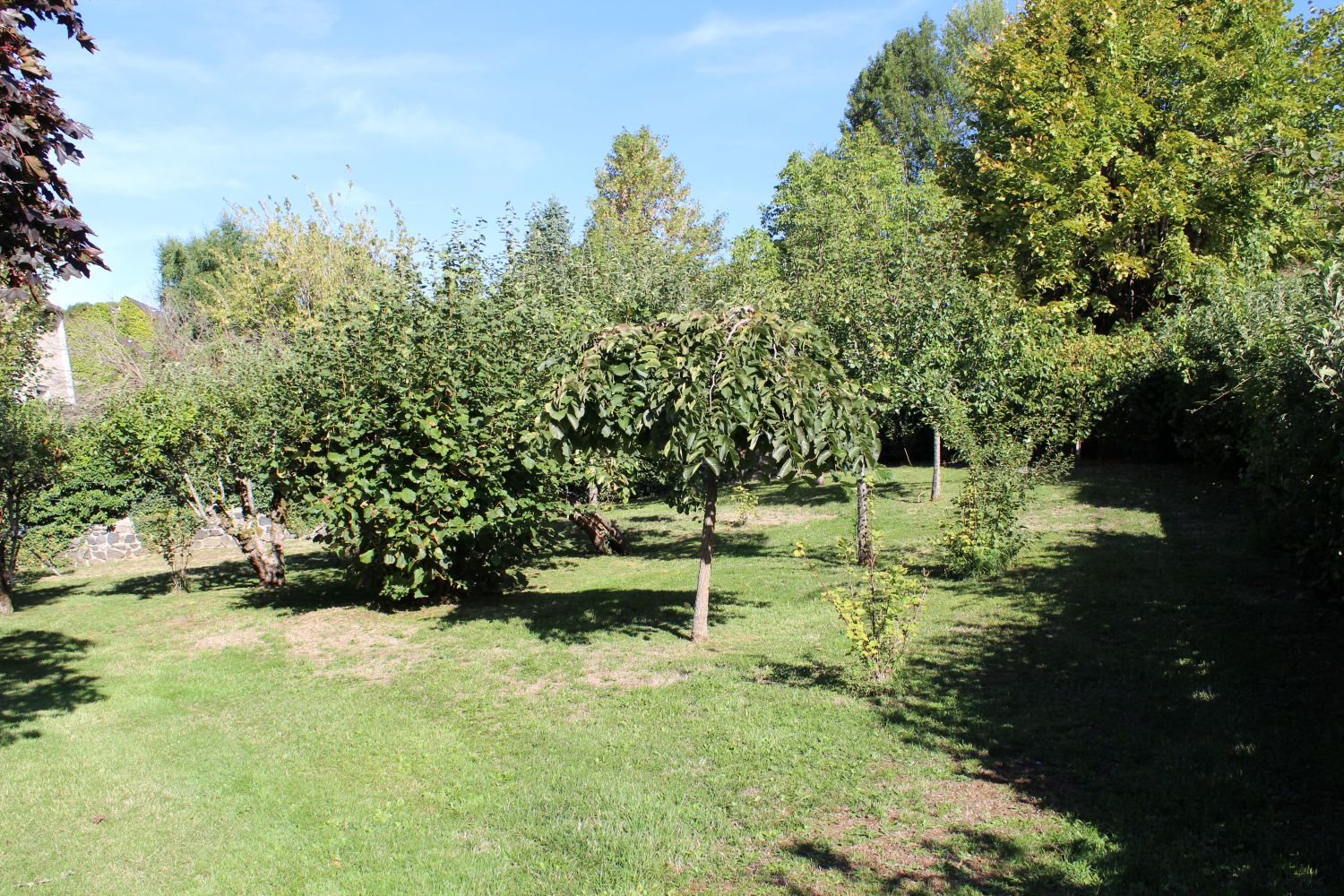 Maison à vendre, 320m², Mauriac