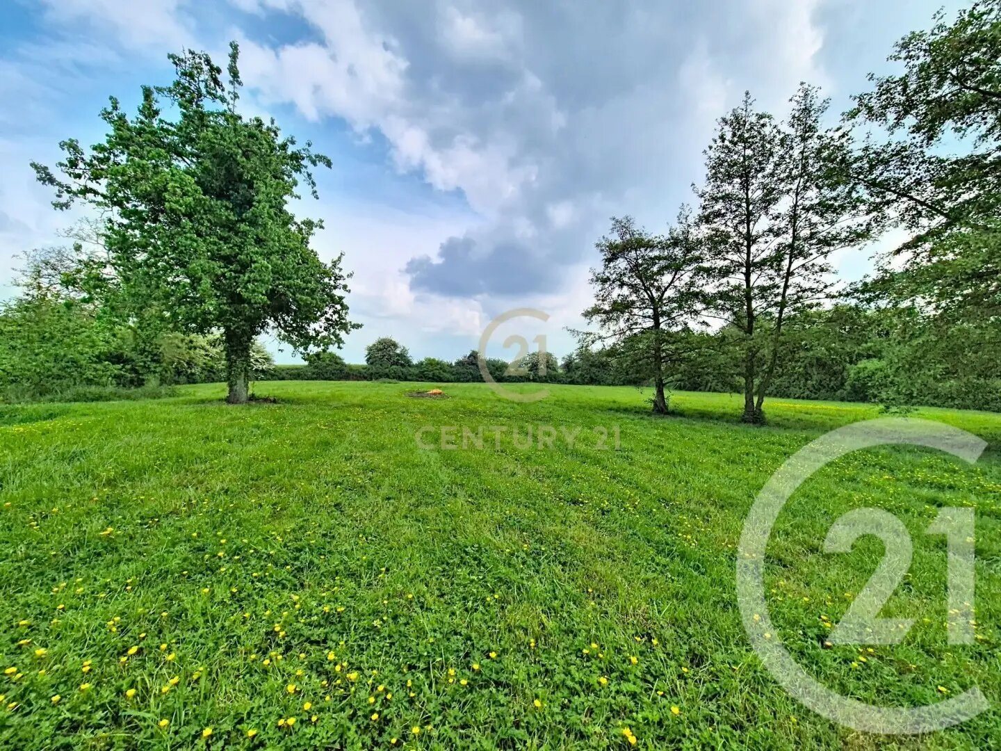 Maison à vendre, 287m², Nieppe