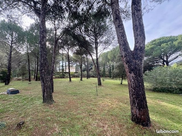 Maison à vendre, 160m², Saint-Laurent-des-Arbres