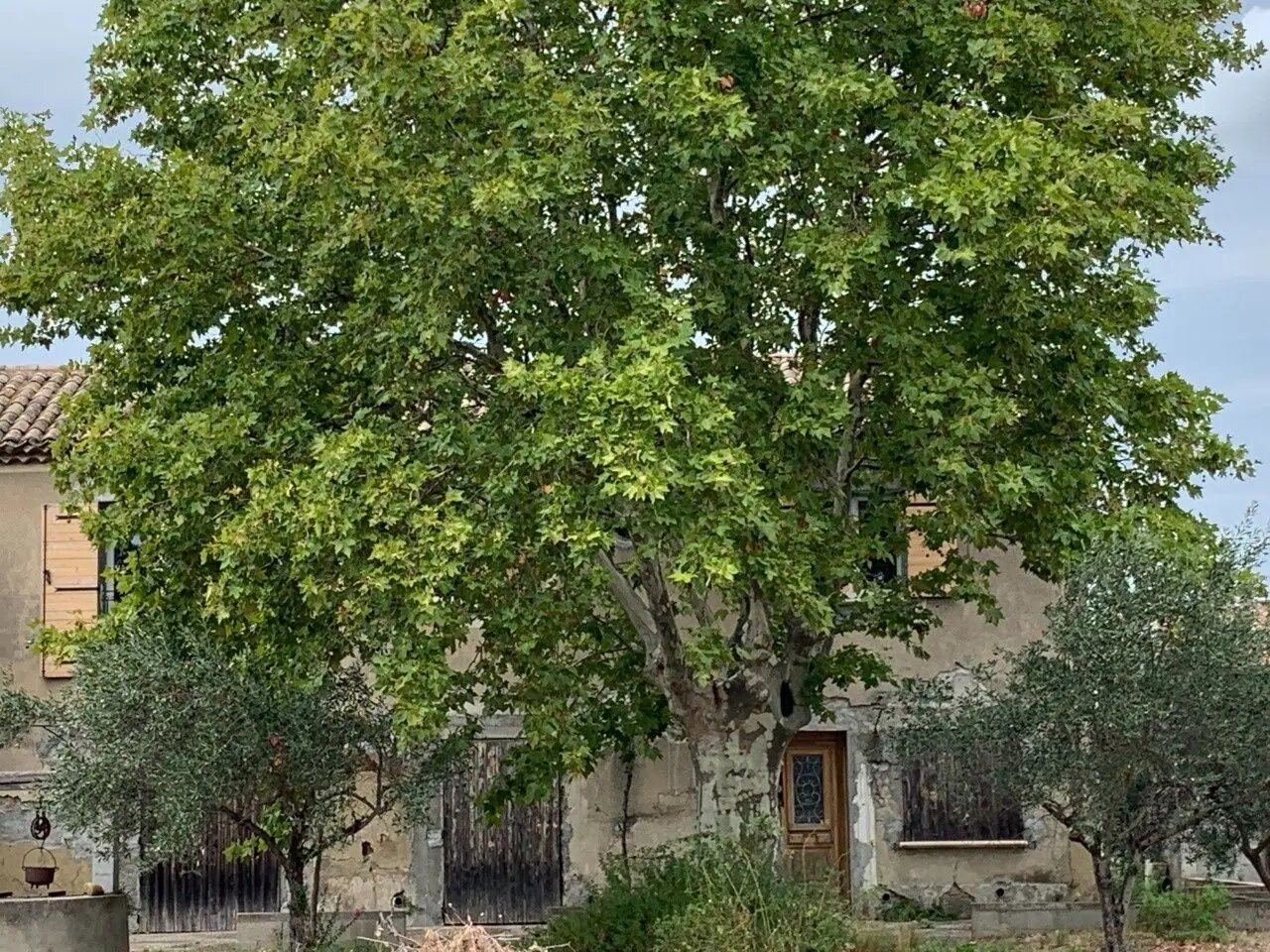 Maison à vendre, 120m², Sorgues