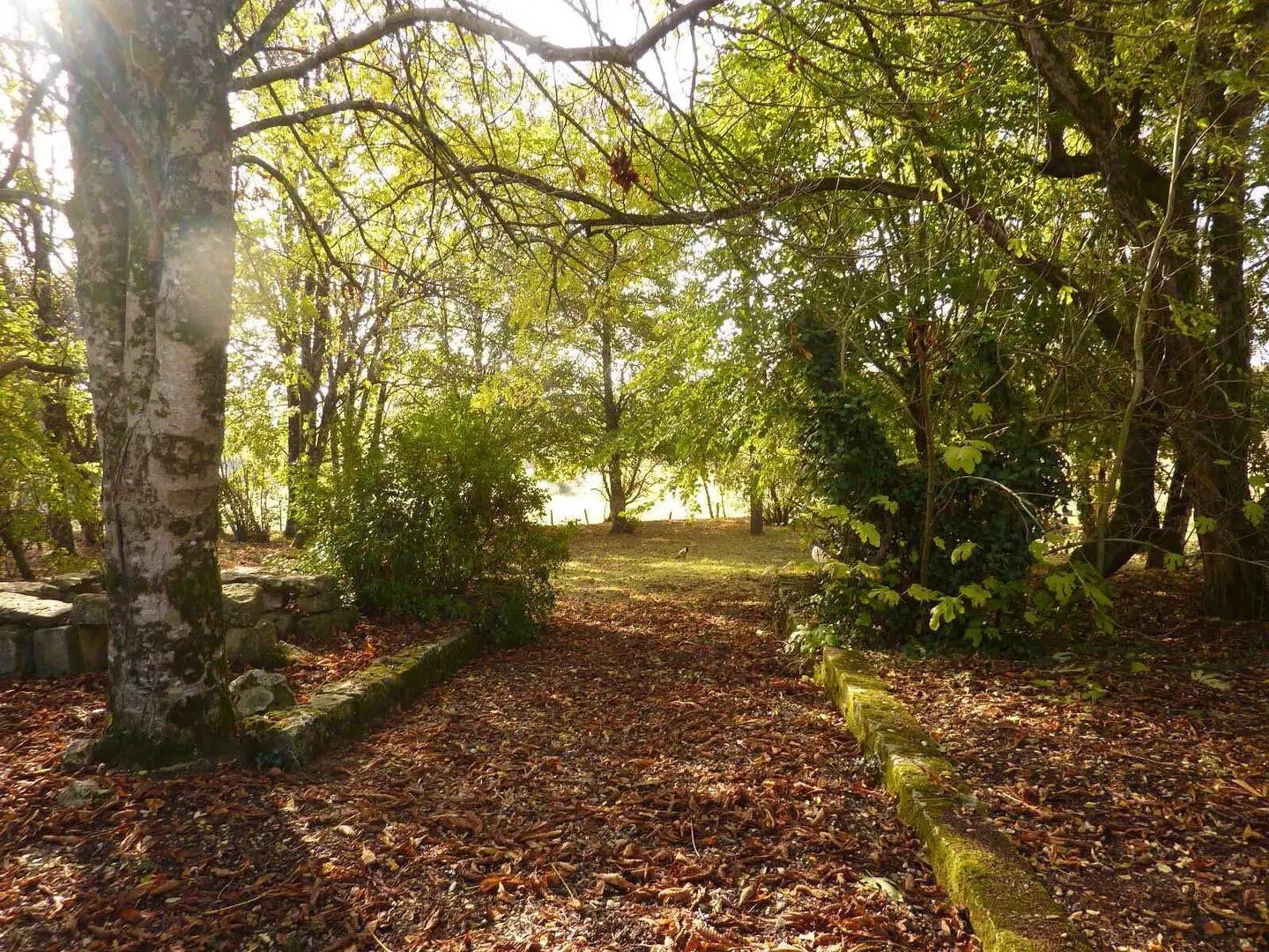 Maison à vendre, 150m², Saint-Claud
