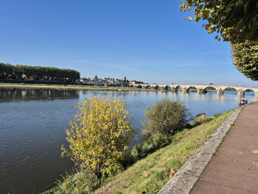 Maison à vendre, 320m², Gien