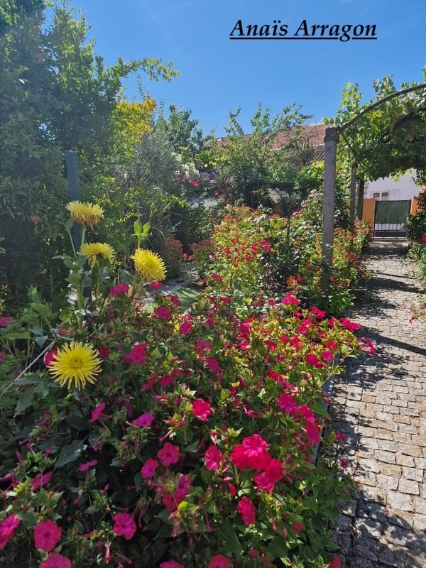 Maison à vendre, 80m², Sainte-Livrade-sur-Lot