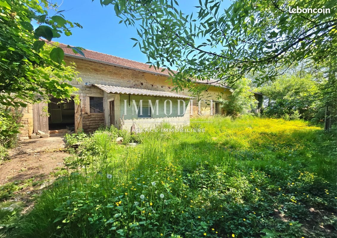 Maison à vendre, 430m², Saint-Jean-sur-Reyssouze