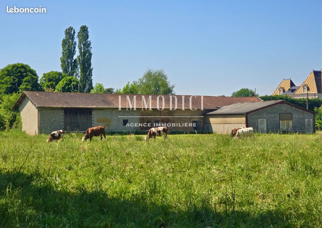 Maison à vendre, 430m², Saint-Jean-sur-Reyssouze