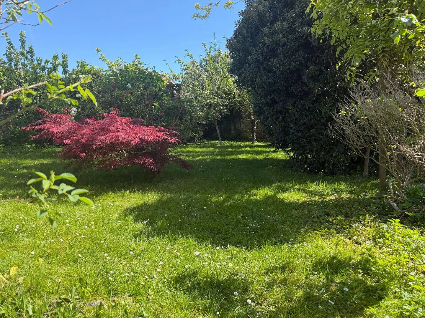 Maison à vendre, 221m², Sains-Richaumont