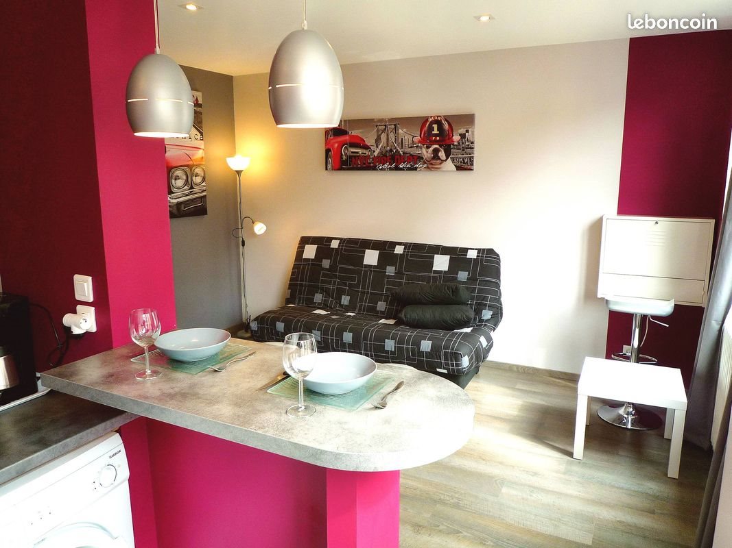 Appartement à louer, 24m², Villeurbanne