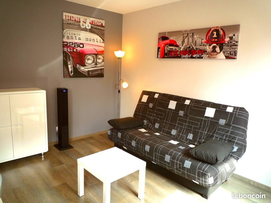 Appartement à louer, 24m², Villeurbanne