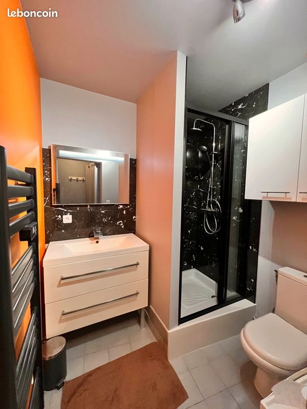 Appartement à louer, 26m², Lyon 7ème
