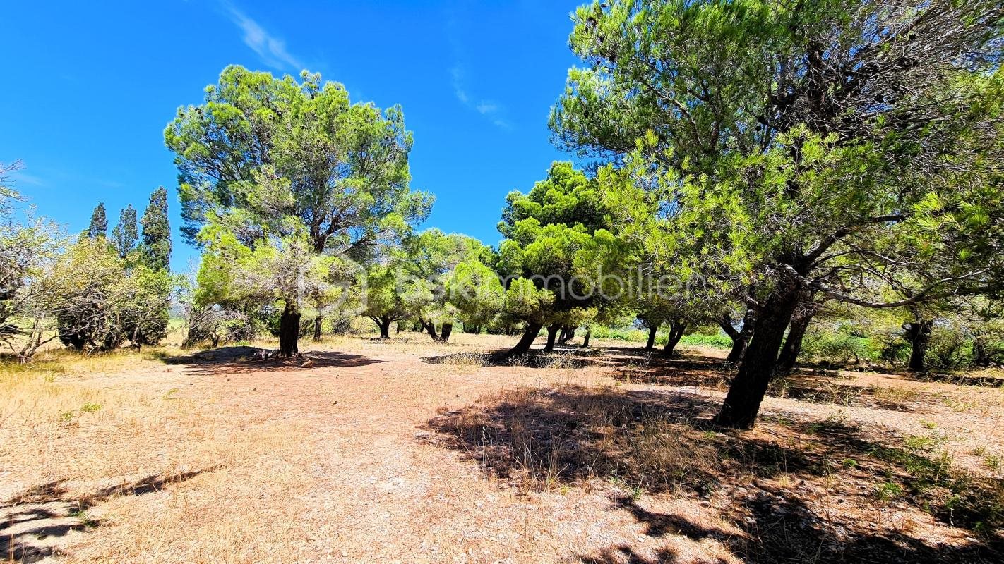 Maison à vendre, 299m², La Palme