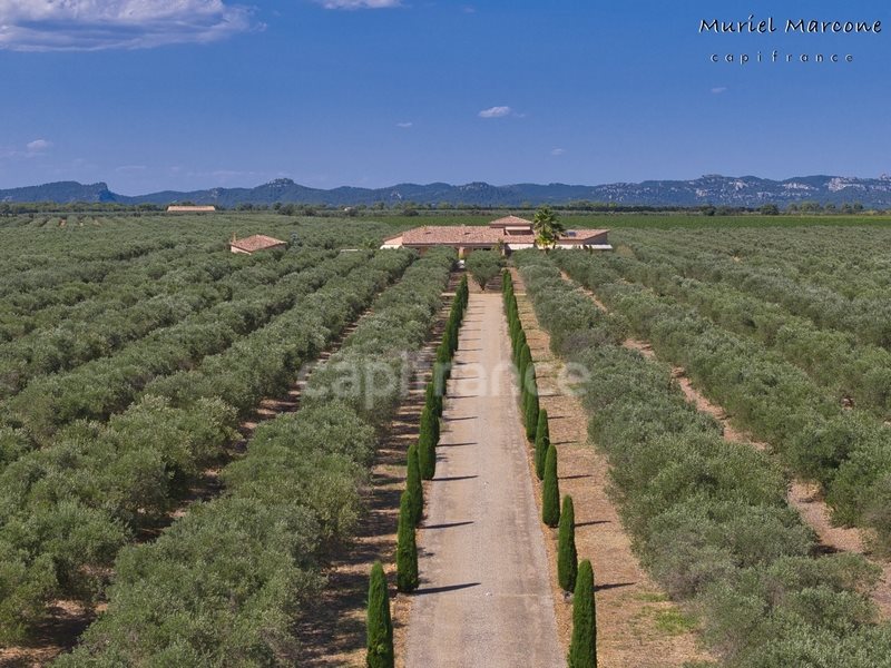 Maison à vendre, 290m², Raphèle-lès-Arles