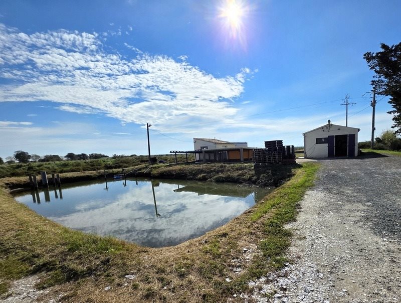 Maison à vendre, 75m², Dolus-d'Oléron
