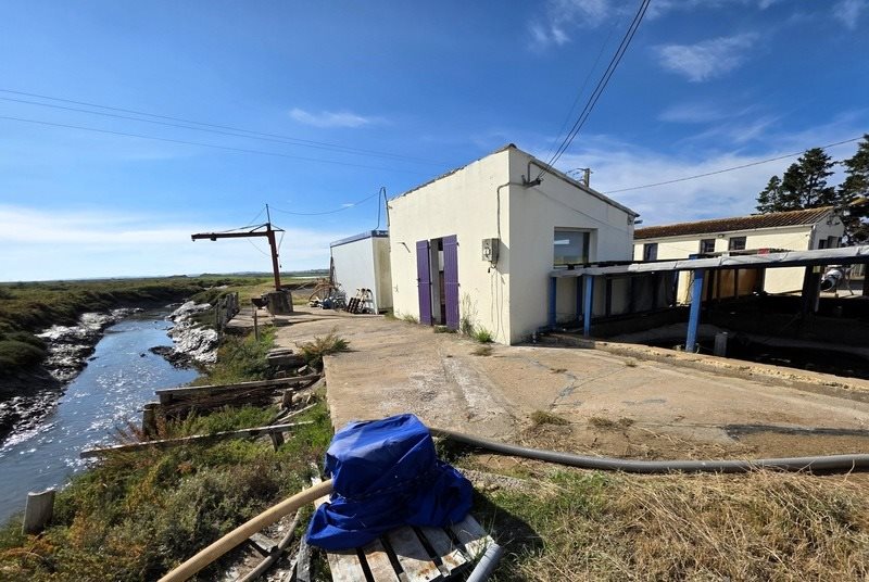 Maison à vendre, 75m², Dolus-d'Oléron