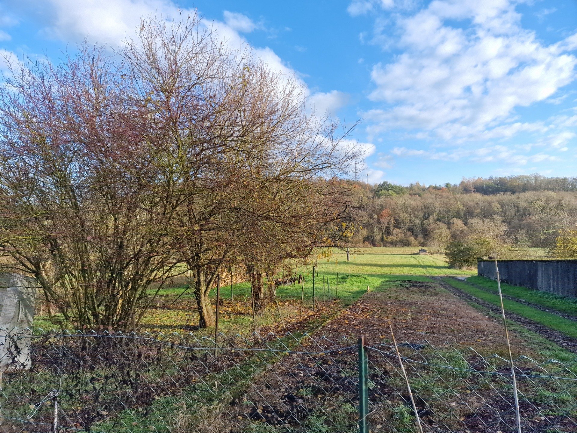 Maison à vendre, 93m², Mirecourt