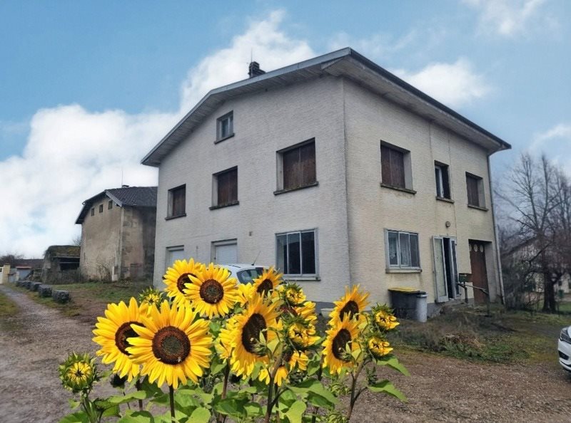 Maison à vendre, 142m², Vittel