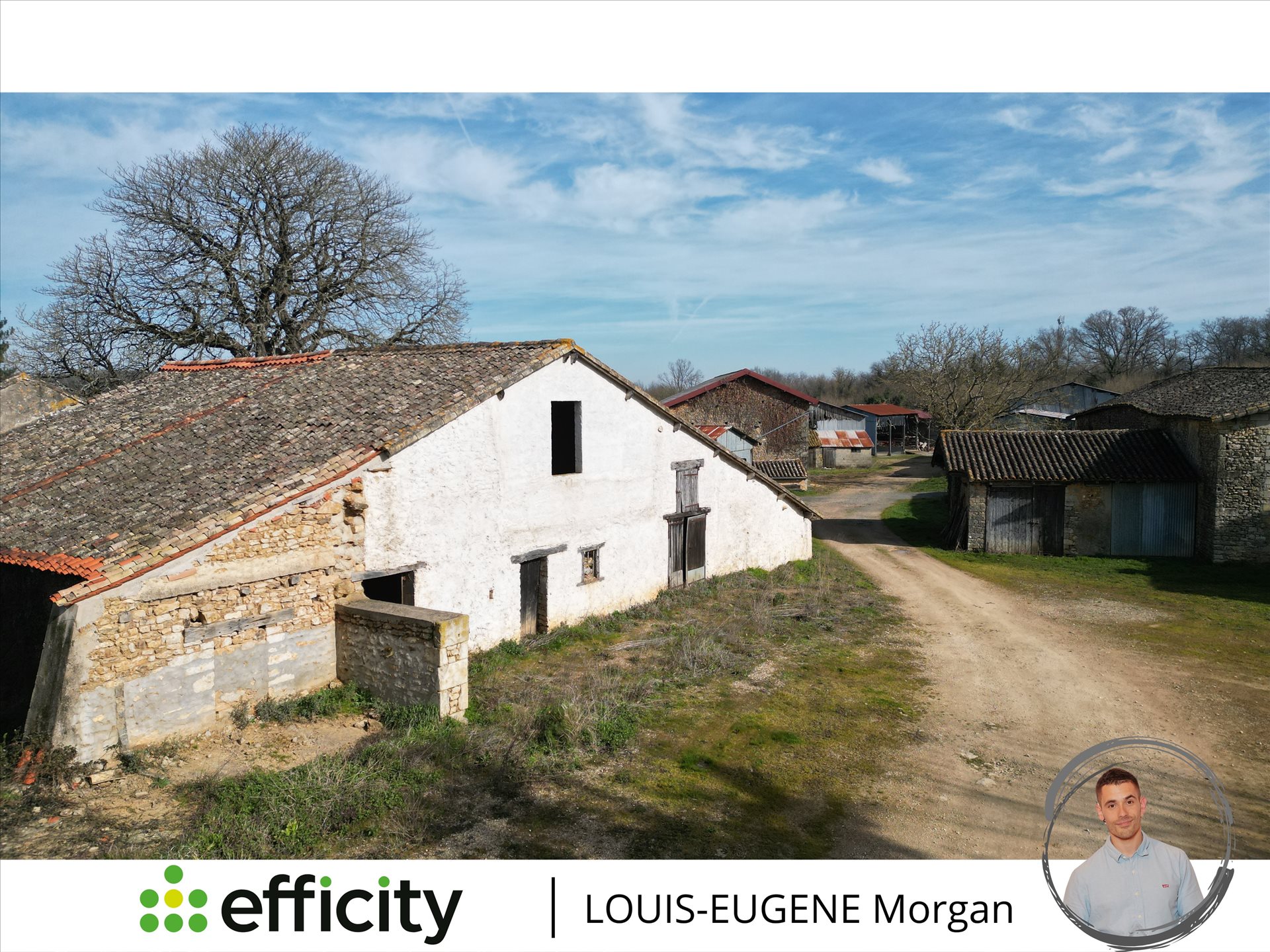 Maison à vendre, 245m², Celle-Lévescault