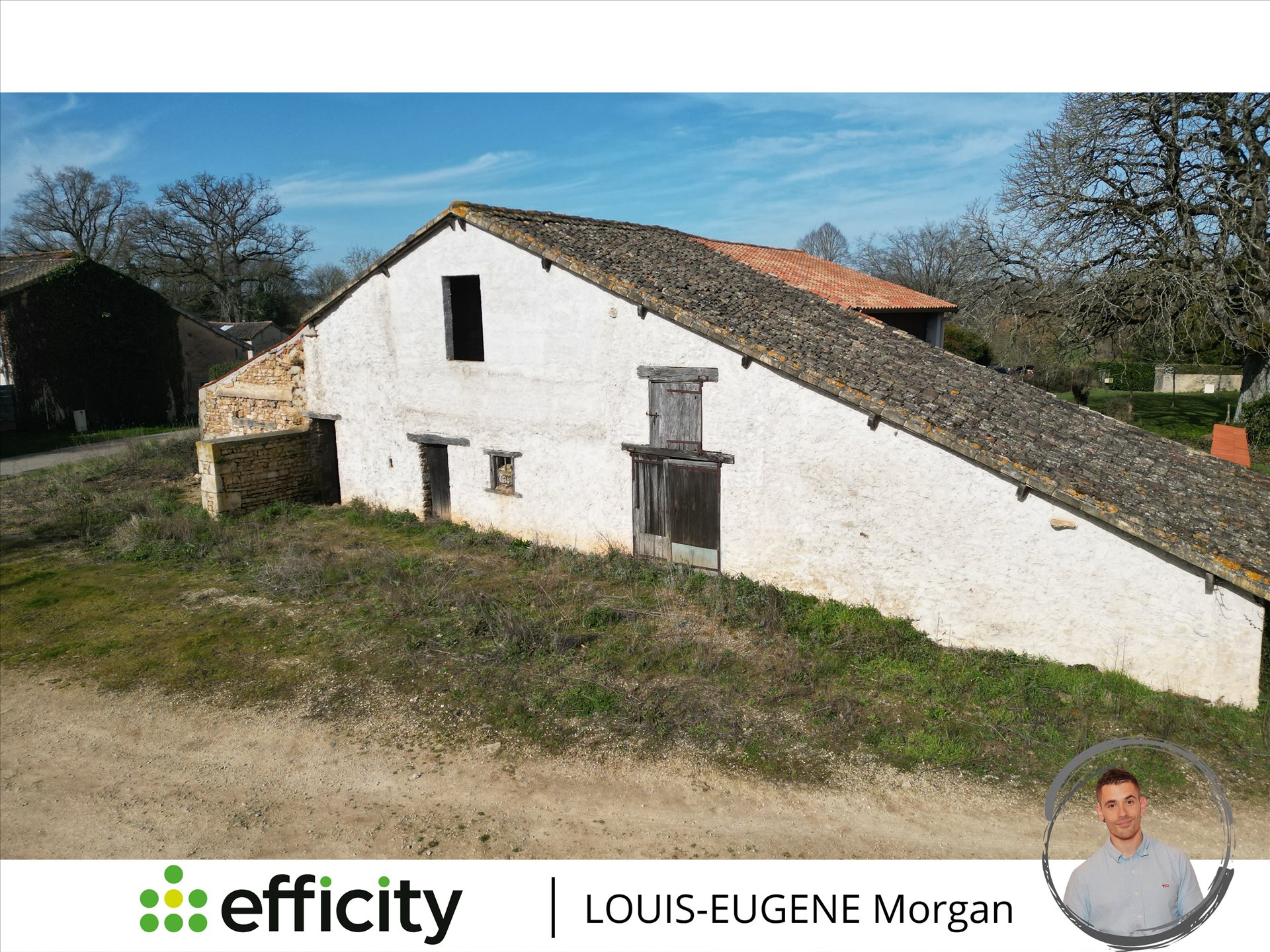 Maison à vendre, 245m², Celle-Lévescault