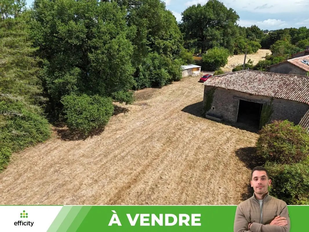 Maison à vendre, 171m², Champagné-Saint-Hilaire