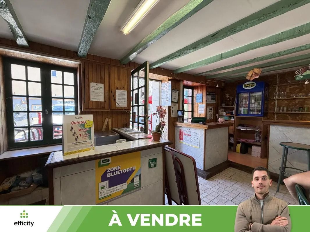 Maison à vendre, 310m², Usson-du-Poitou