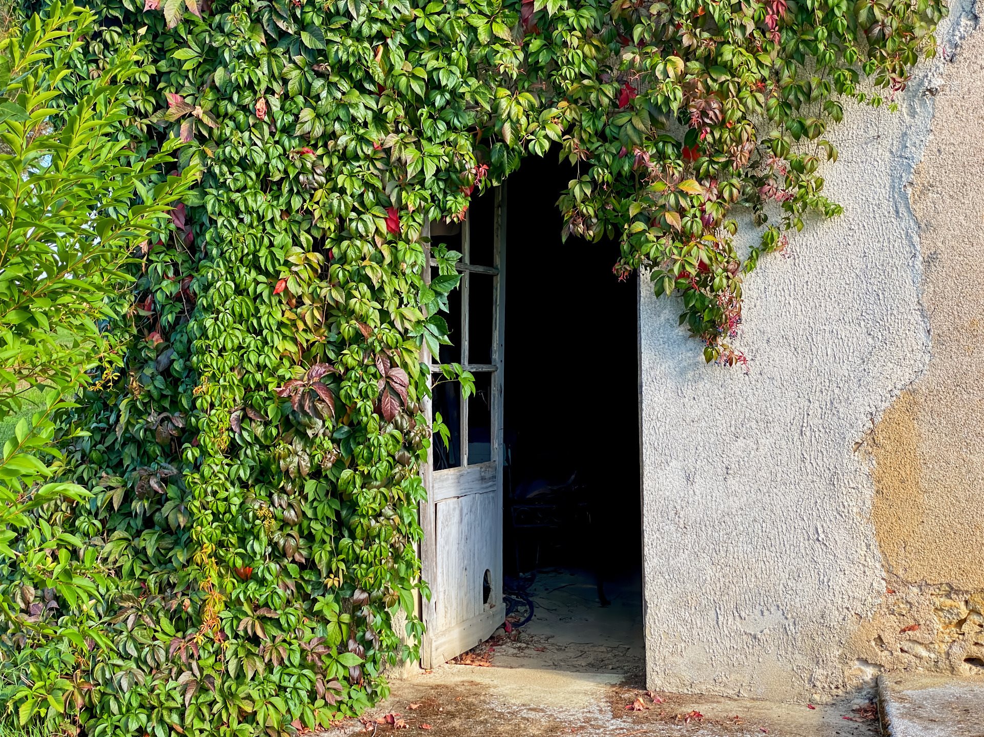 Maison à vendre, 315m², Riguepeu