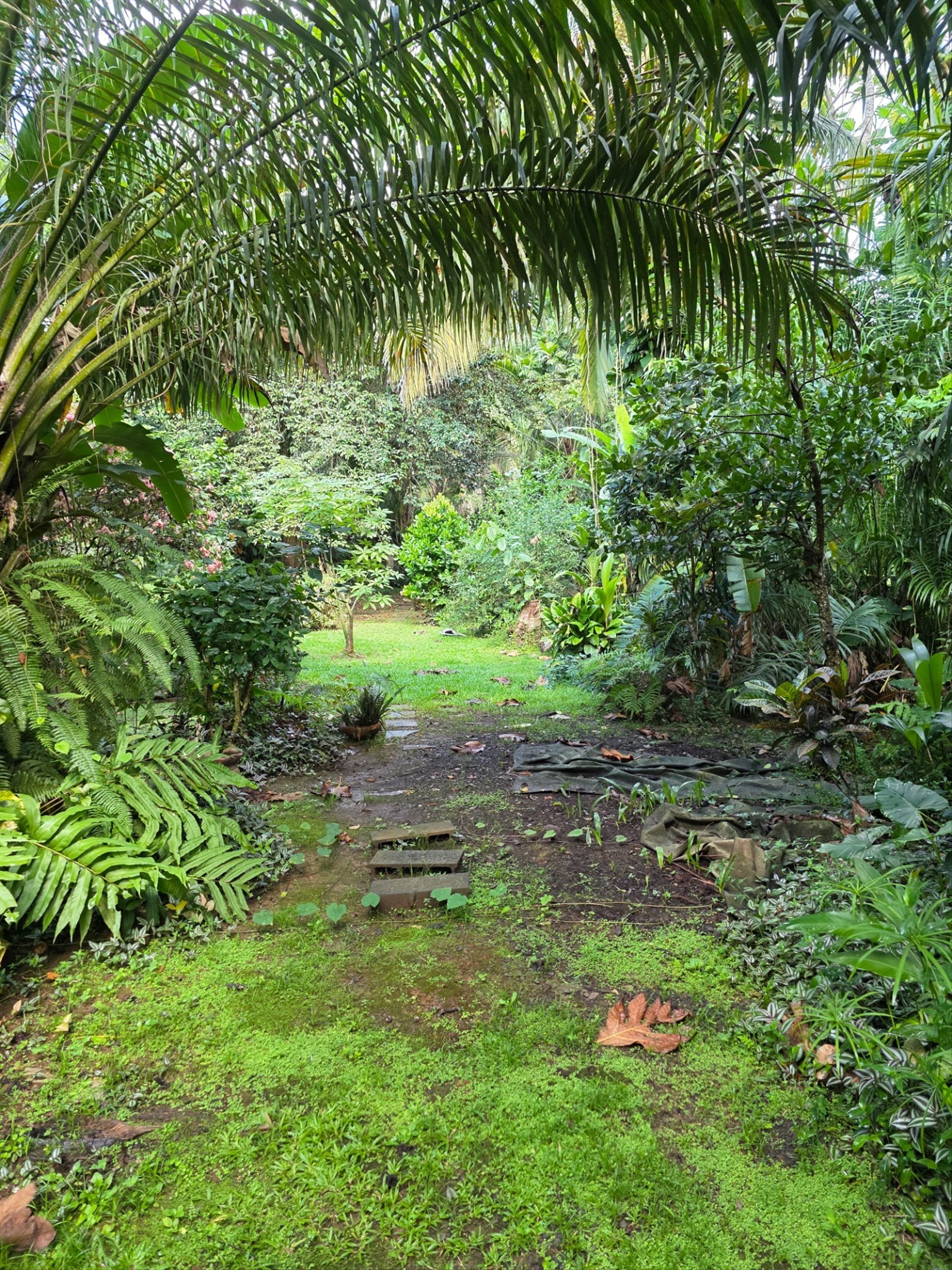 Maison à vendre, 180m², Baie-Mahault