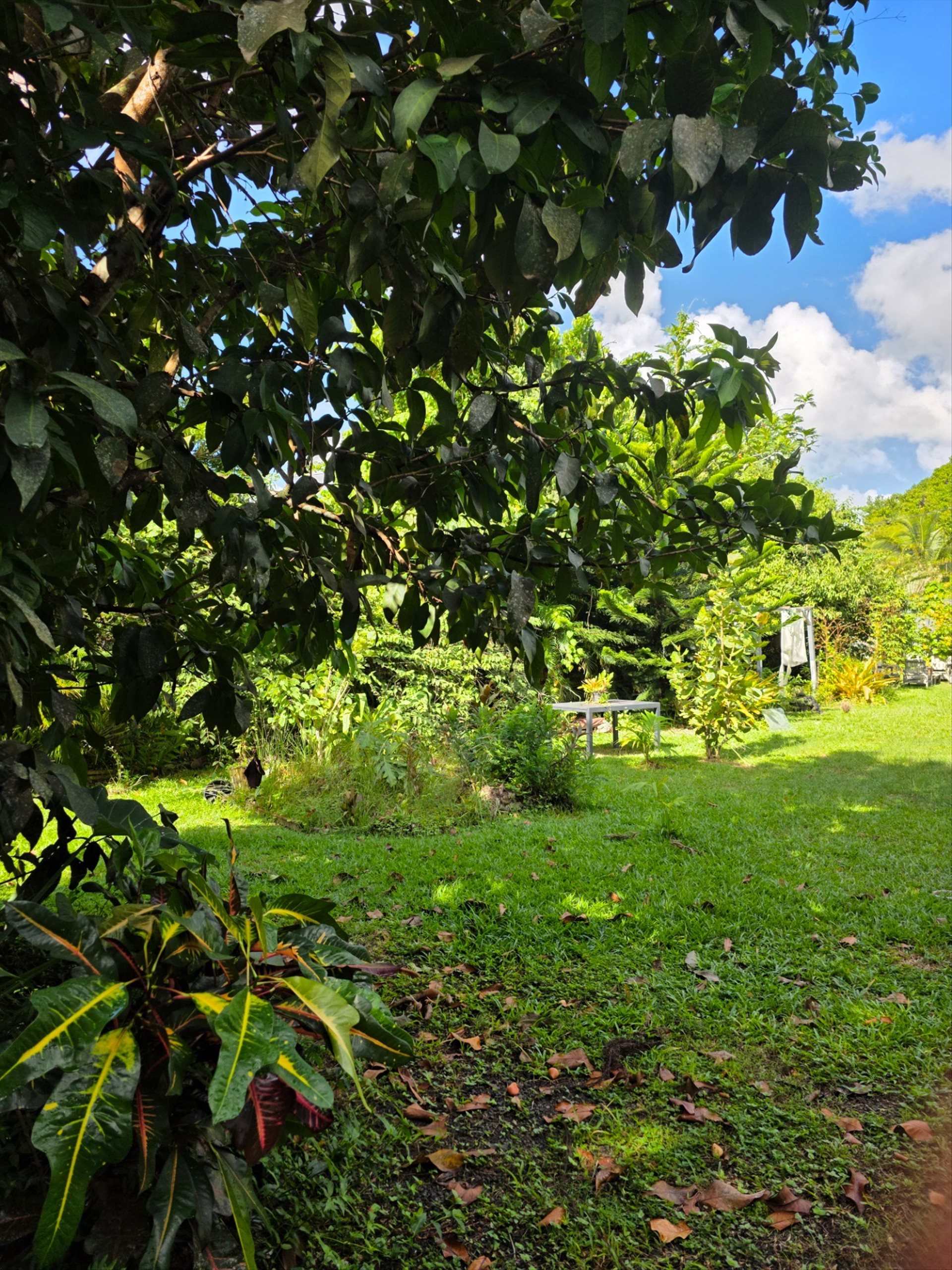 Maison à vendre, 180m², Baie-Mahault