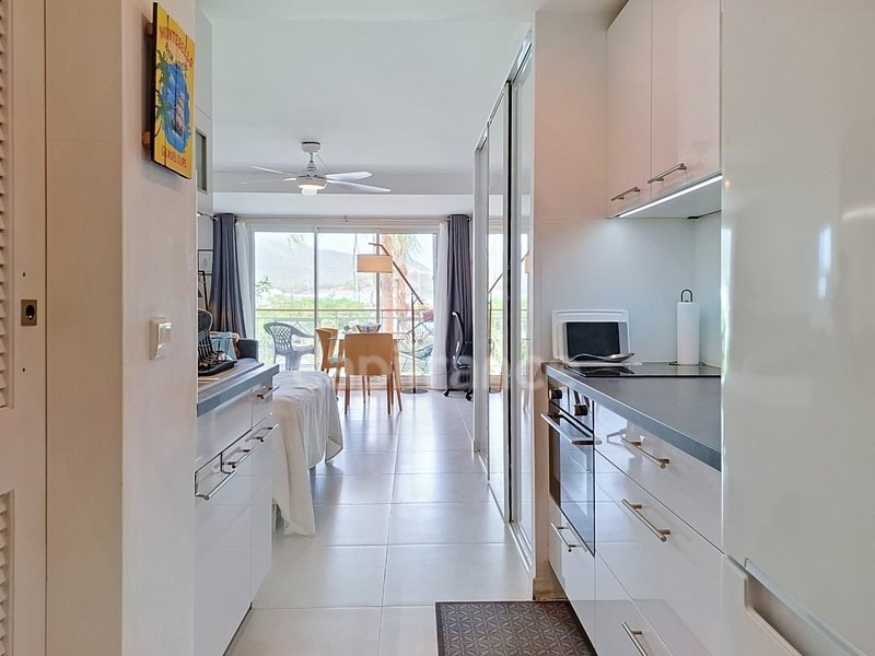 Appartement à vendre, 37m², Saint-Martin