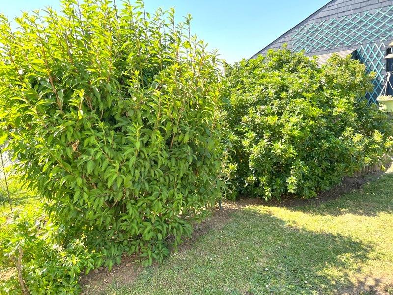Maison à vendre, 136m², Trignac