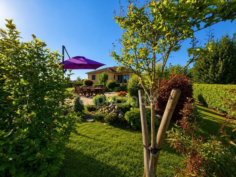 Maison à vendre, 150m², Dompierre-sur-Veyle